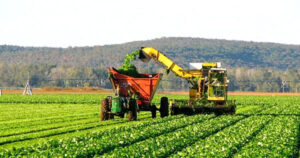 Agroindústria: O Setor que Impulsiona a Economia Brasileira